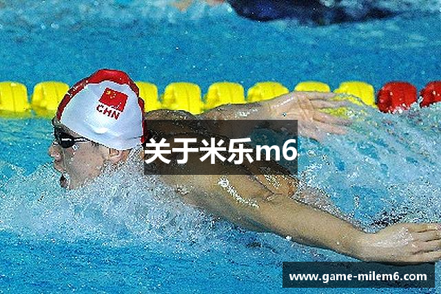 关于米乐m6